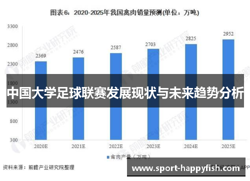 中国大学足球联赛发展现状与未来趋势分析